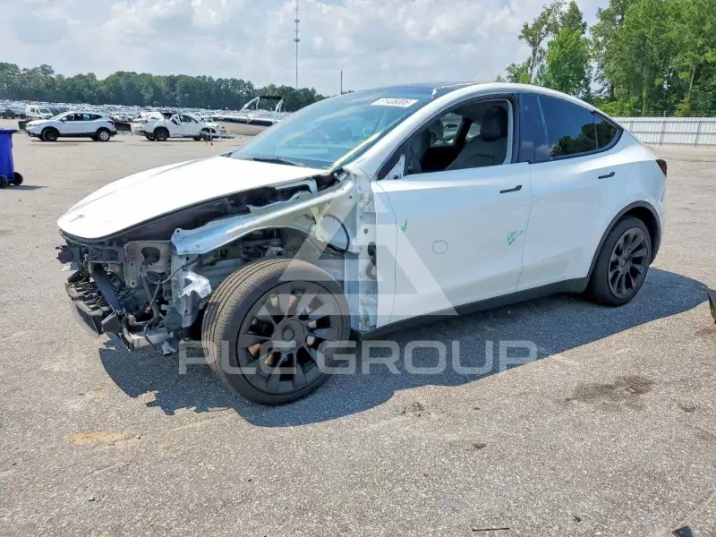 2021 Tesla Model Y photo