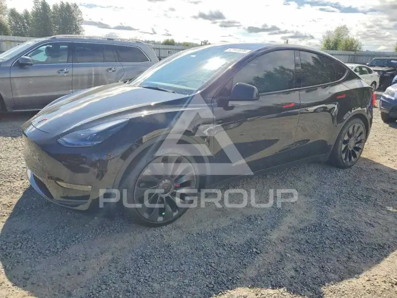 2021 Tesla Model Y фото
