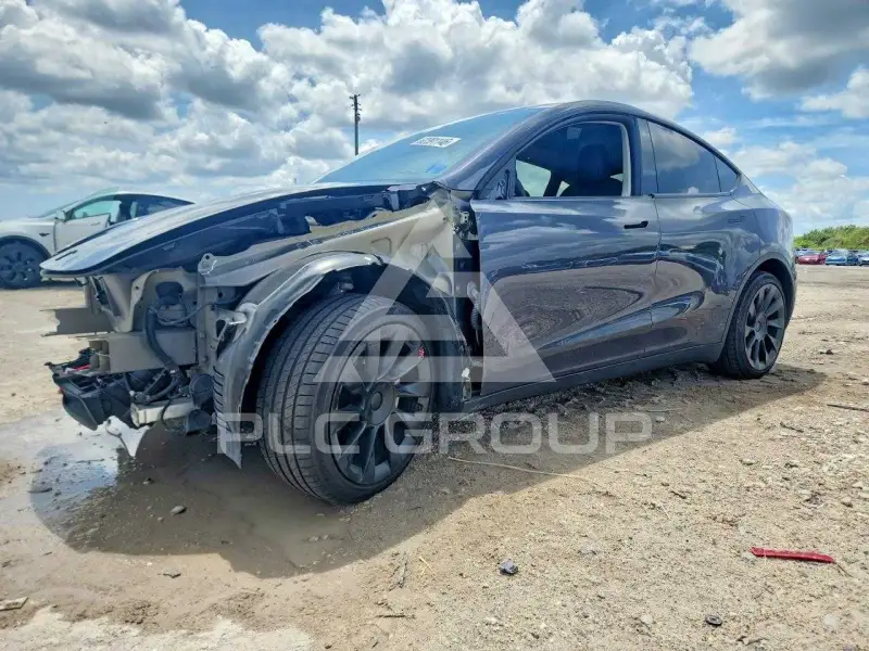 2021 Tesla Model Y фото