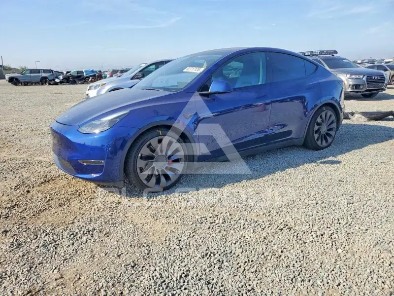2021 Tesla Model Y photo