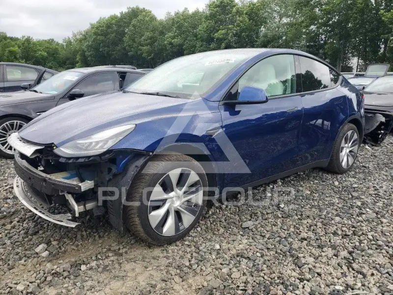 2021 Tesla Model Y photo