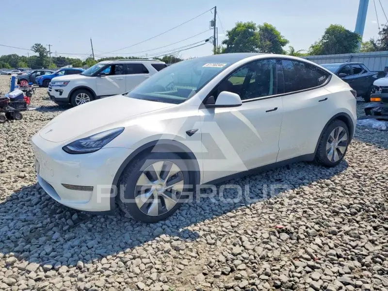 2021 Tesla Model Y photo