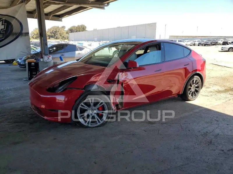 2021 Tesla Model Y фото