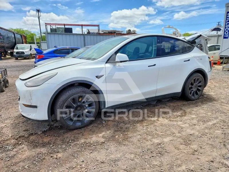 2021 Tesla Model Y фото