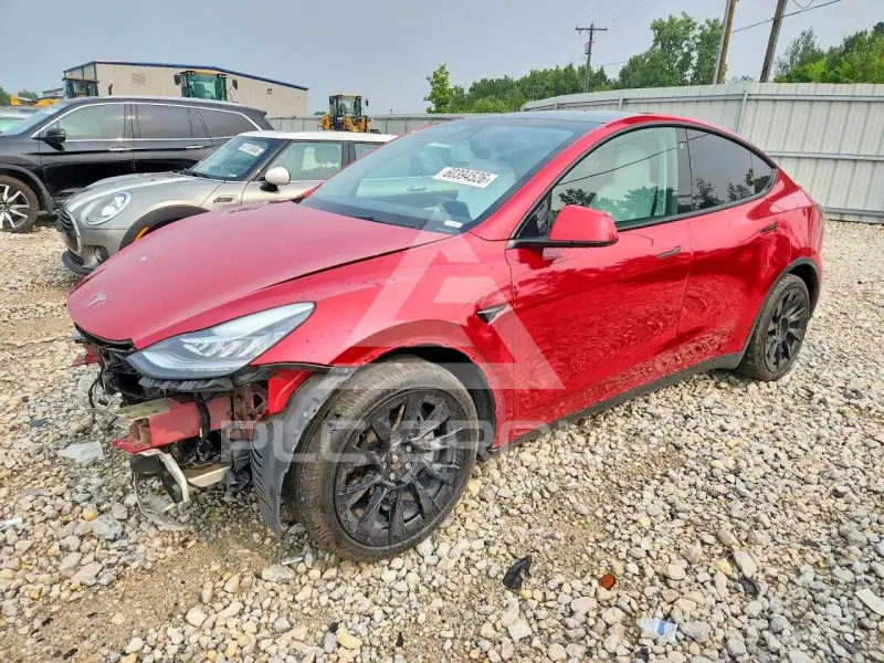 2021 Tesla Model Y photo