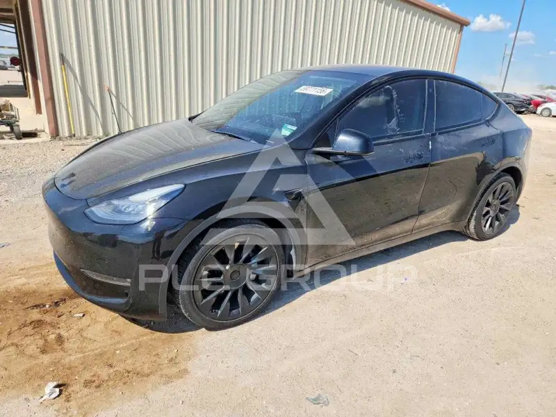 2021 Tesla Model Y photo