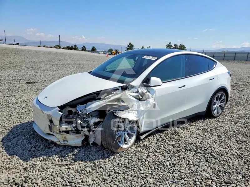 2021 Tesla Model Y photo