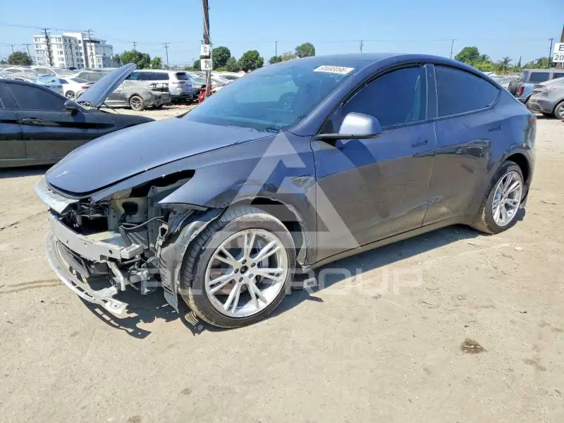 2021 Tesla Model Y photo