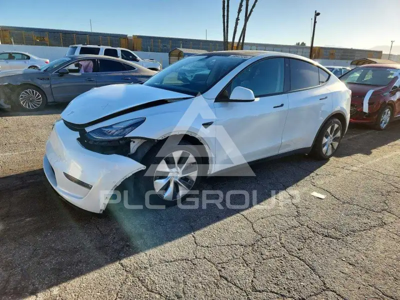2021 Tesla Model Y фото