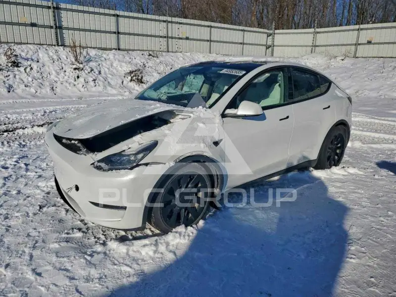 2021 Tesla Model Y фото