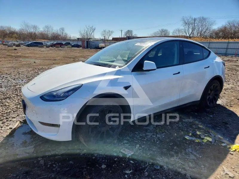 2021 Tesla Model Y photo