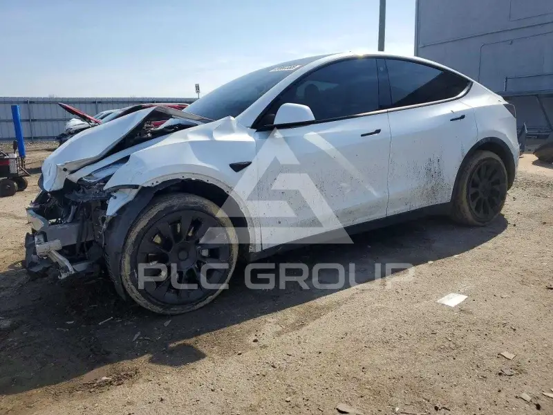2021 Tesla Model Y фото