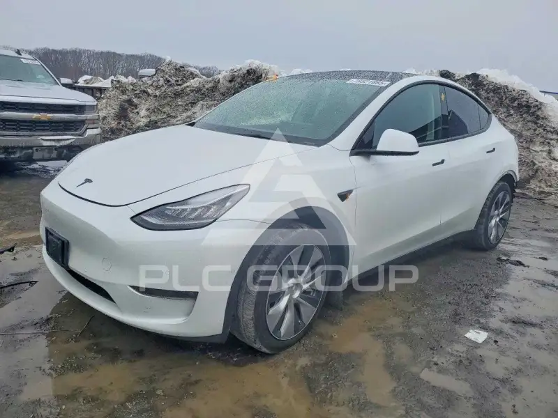2021 Tesla Model Y photo