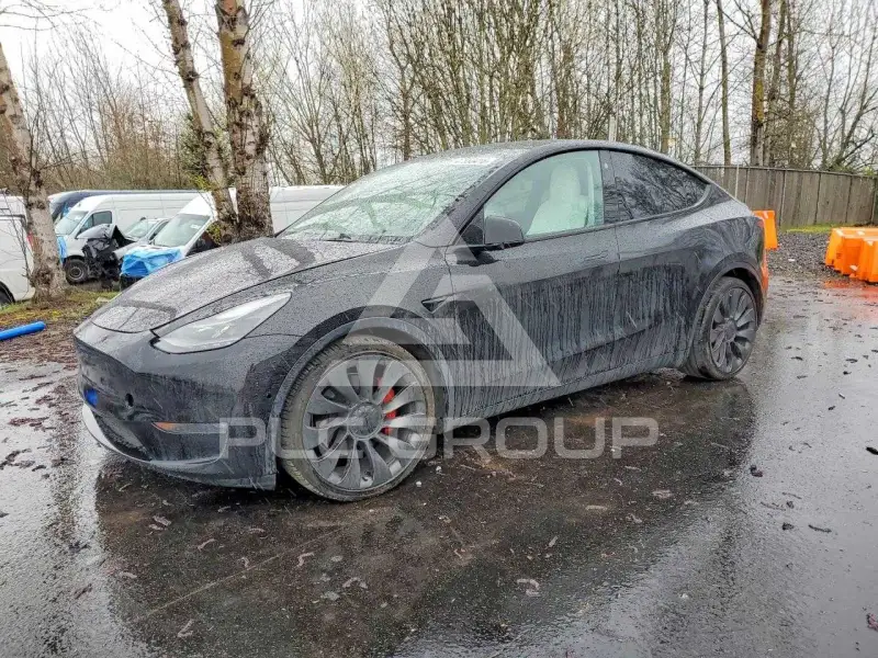 2021 Tesla Model Y фото
