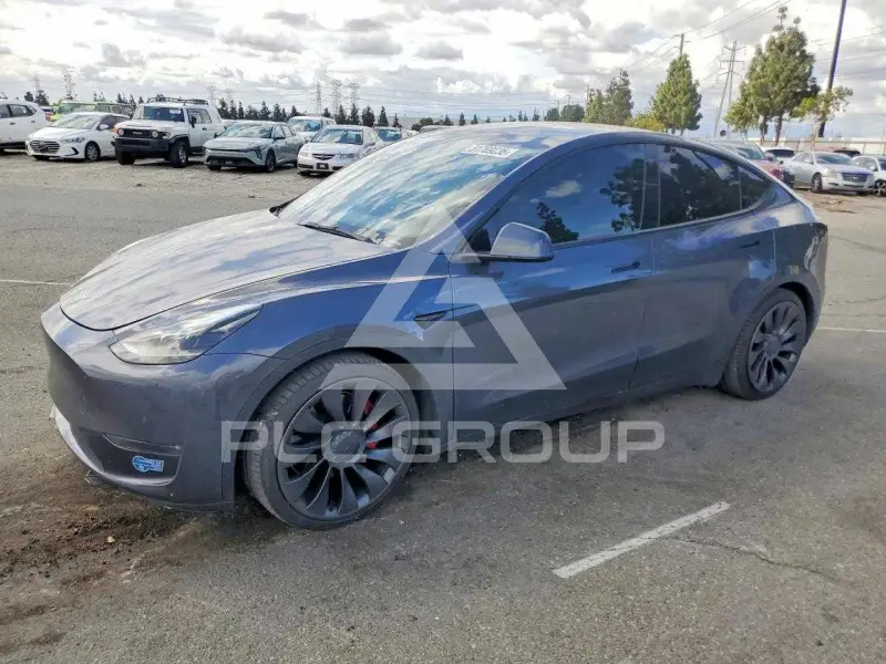 2021 Tesla Model Y photo