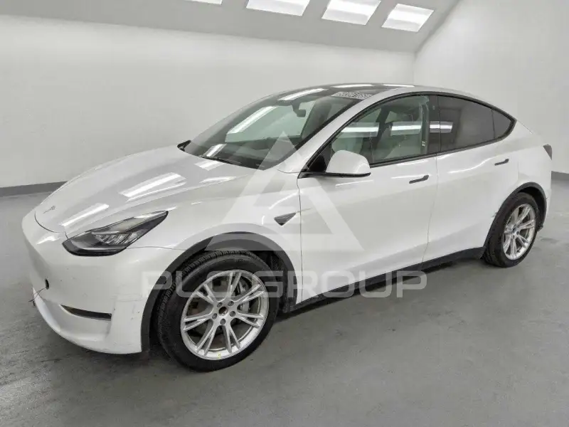 2021 Tesla Model Y фото