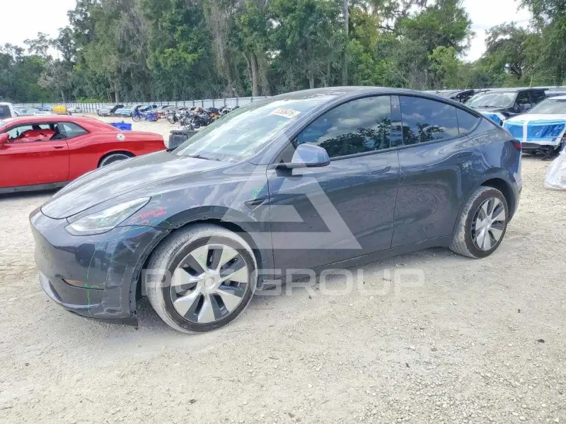 2021 Tesla Model Y photo