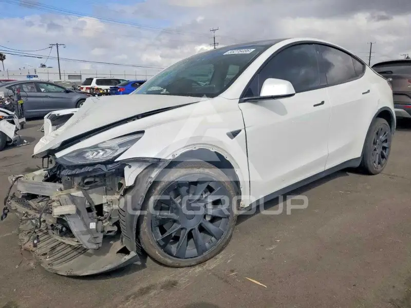 2021 Tesla Model Y фото