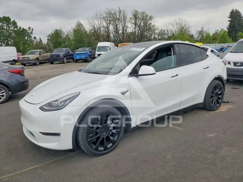 2021 Tesla Model Y фото