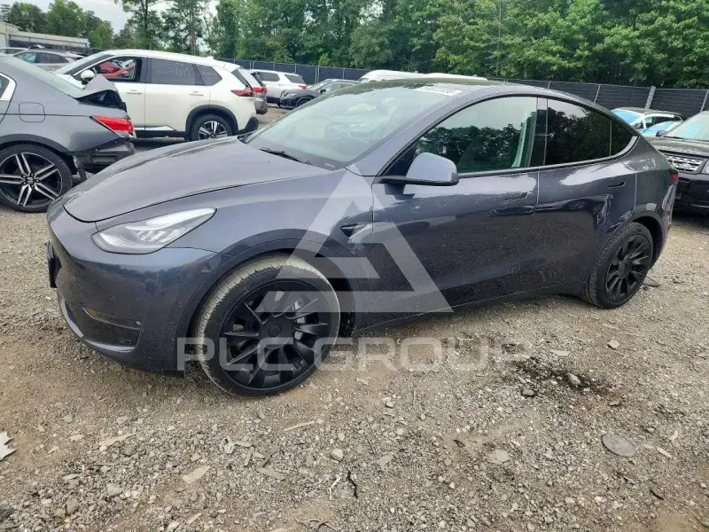 2021 Tesla Model Y фото