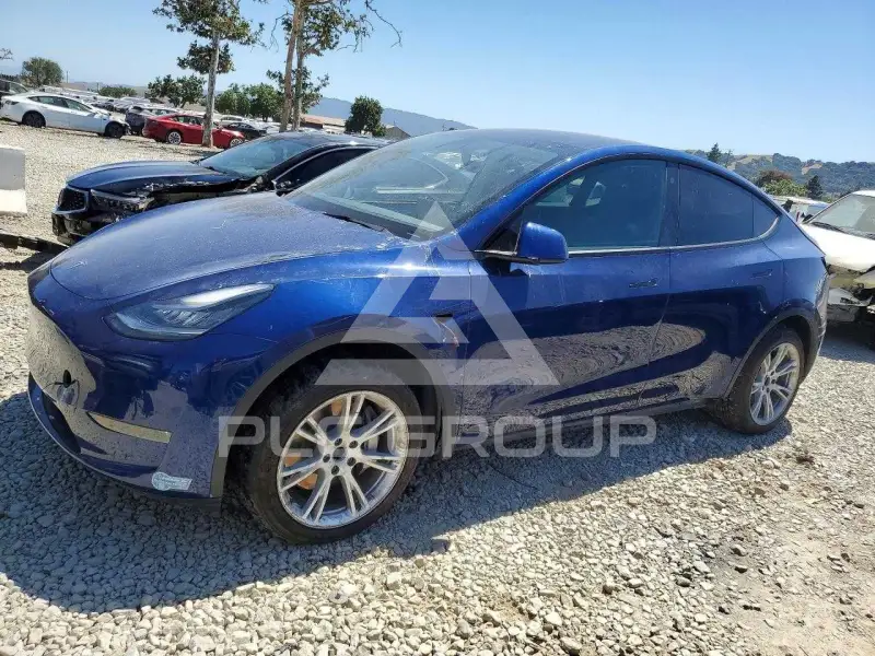 2021 Tesla Model Y фото