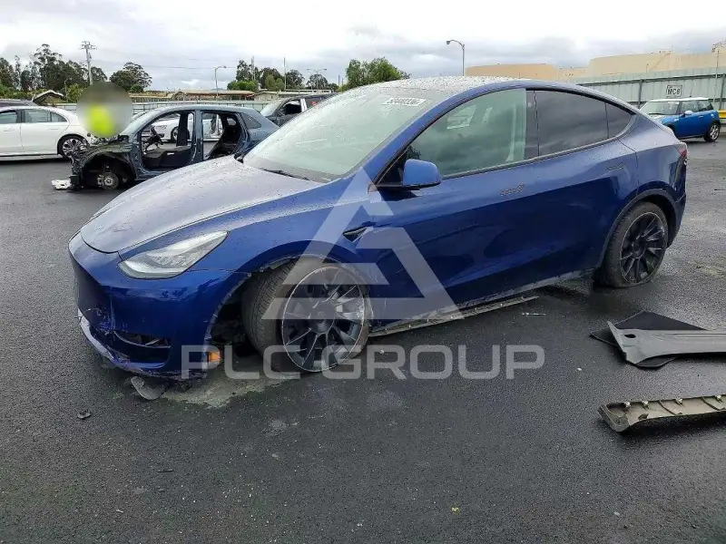 2021 Tesla Model Y photo