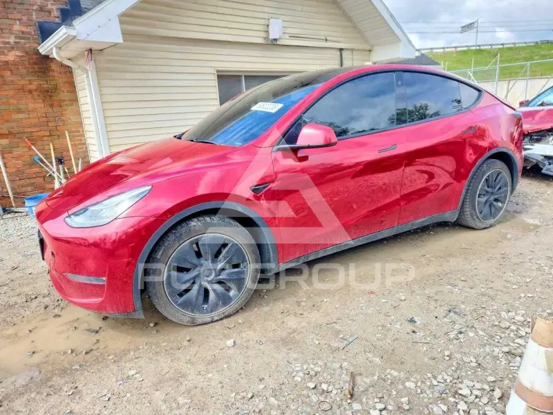 2021 Tesla Model Y фото