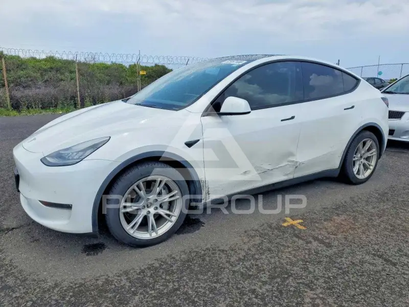 2021 Tesla Model Y фото