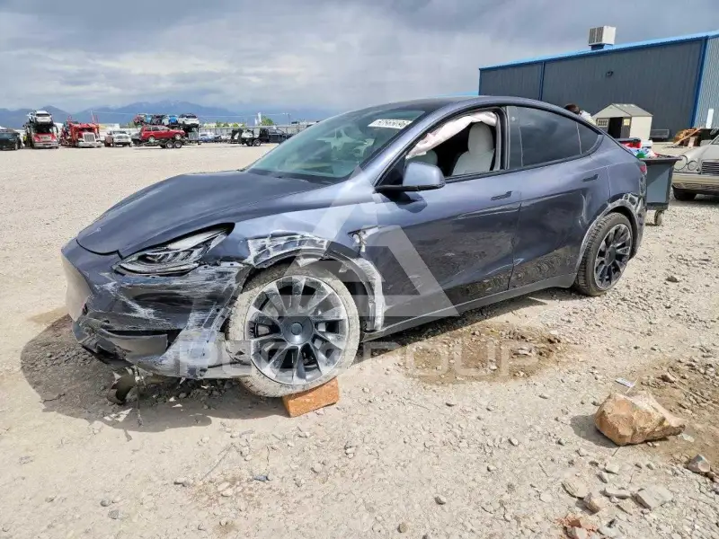 2021 Tesla Model Y фото