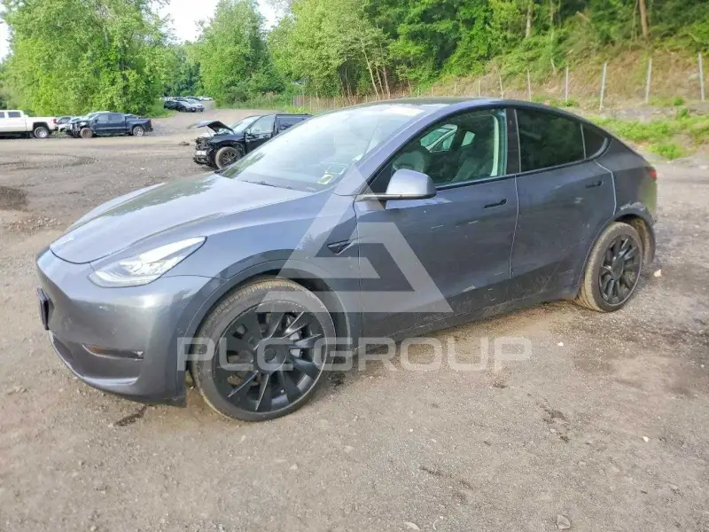 2021 Tesla Model Y фото