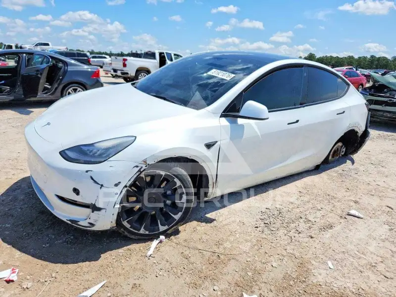 2021 Tesla Model Y photo
