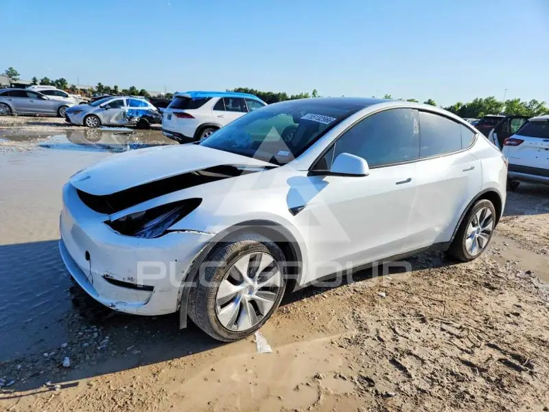 2021 Tesla Model Y photo
