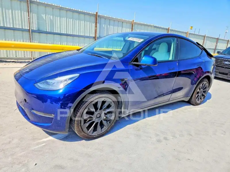 2021 Tesla Model Y photo