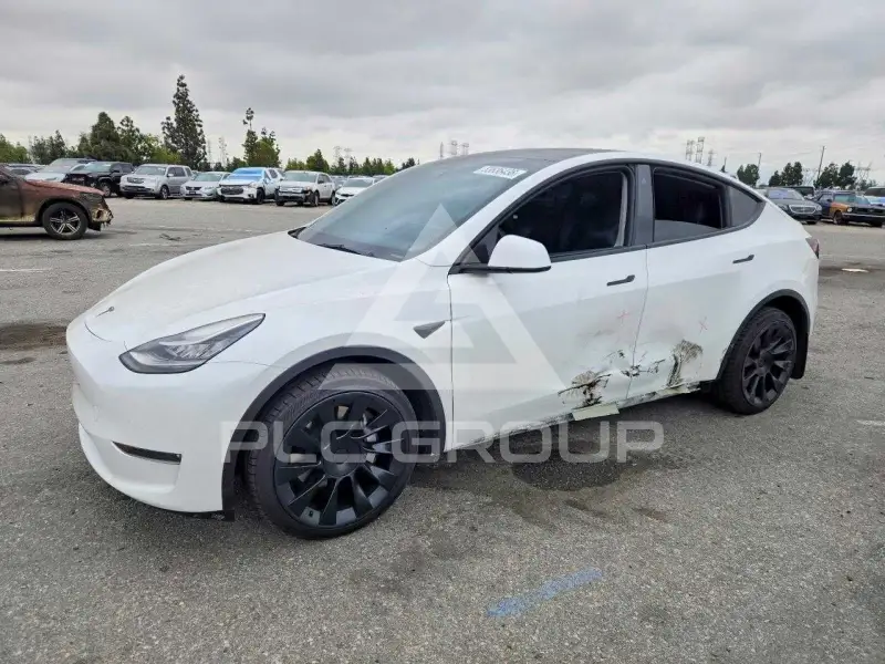 2021 Tesla Model Y фото