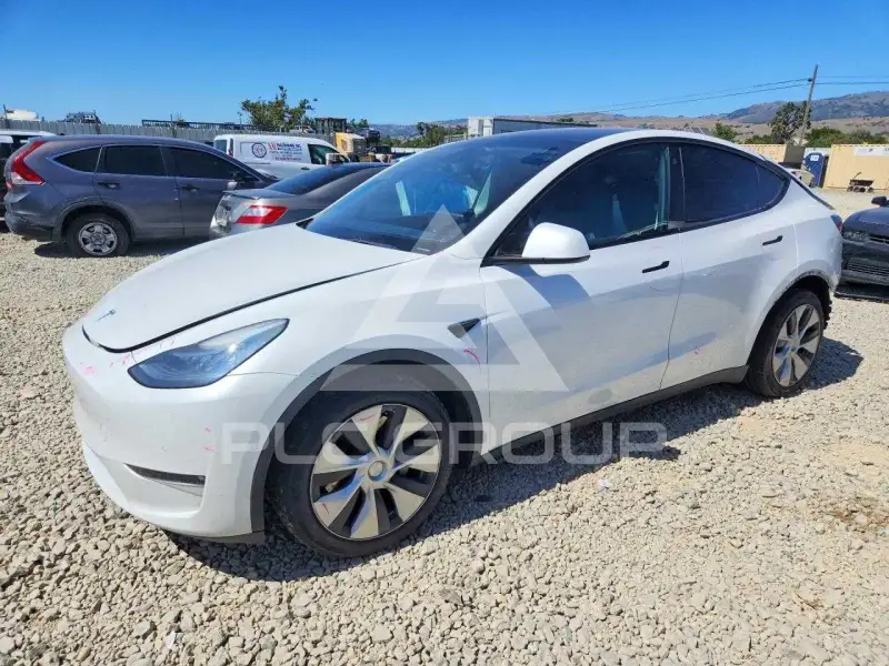 2021 Tesla Model Y фото