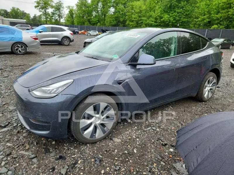 2021 Tesla Model Y фото
