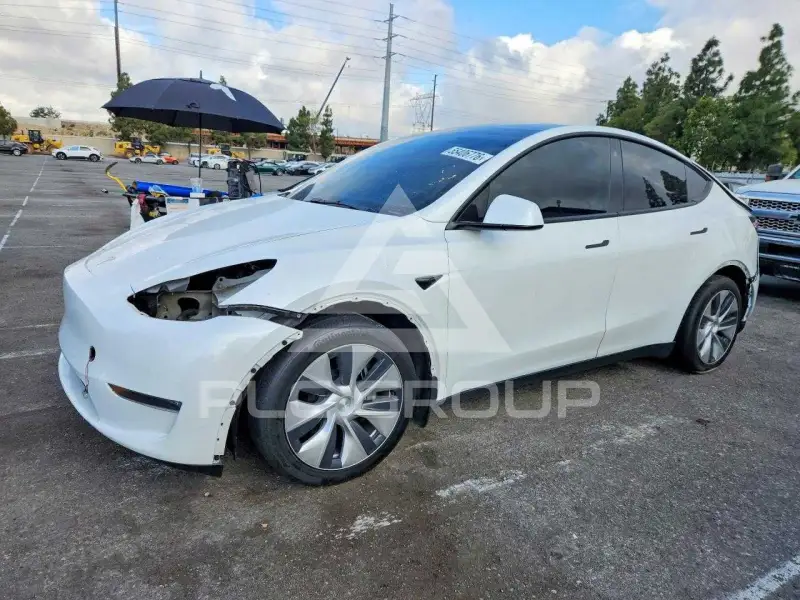 2021 Tesla Model Y фото