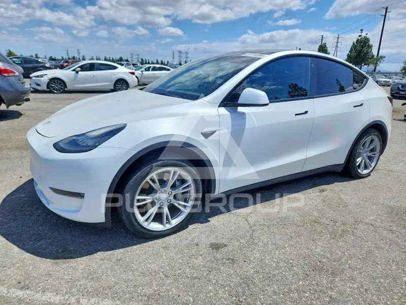 2021 Tesla Model Y фото