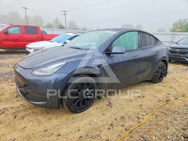 2021 Tesla Model Y photo