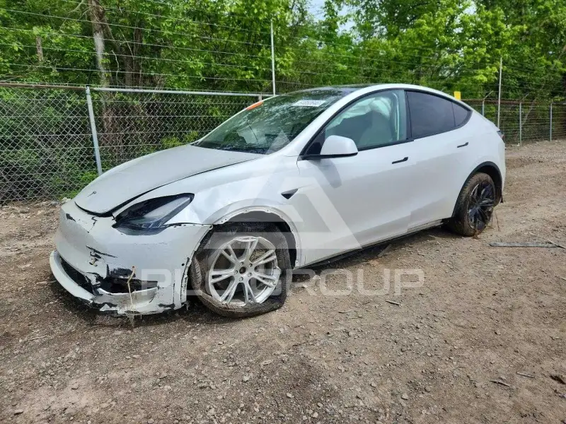 2021 Tesla Model Y фото
