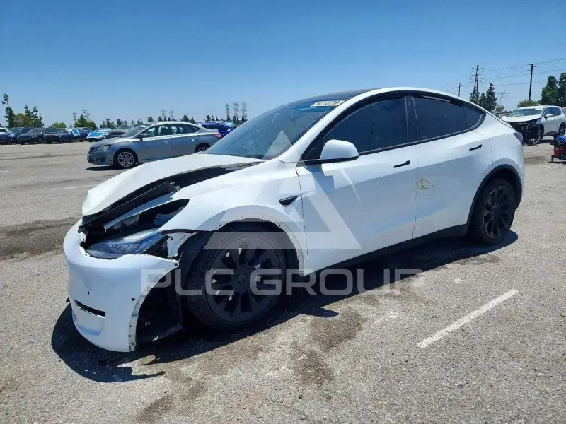 2021 Tesla Model Y photo
