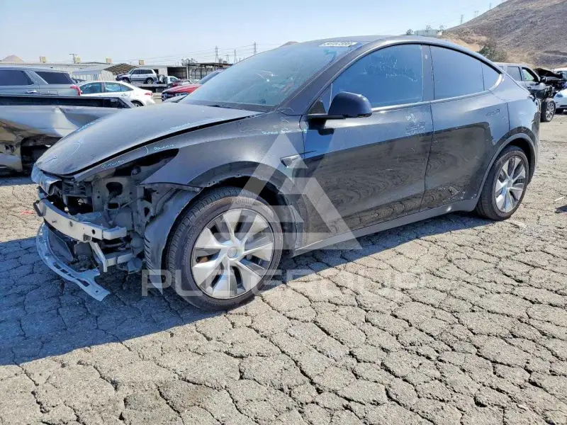 2021 Tesla Model Y photo