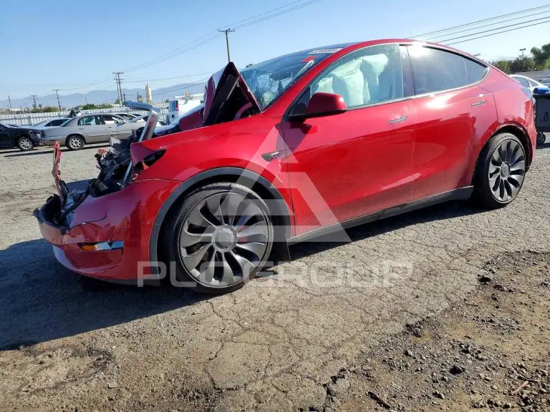 2021 Tesla Model Y фото