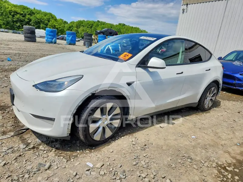 2021 Tesla Model Y фото