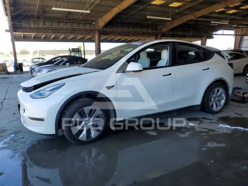 2021 Tesla Model Y photo