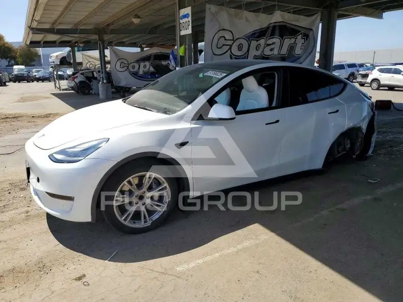 2021 Tesla Model Y photo