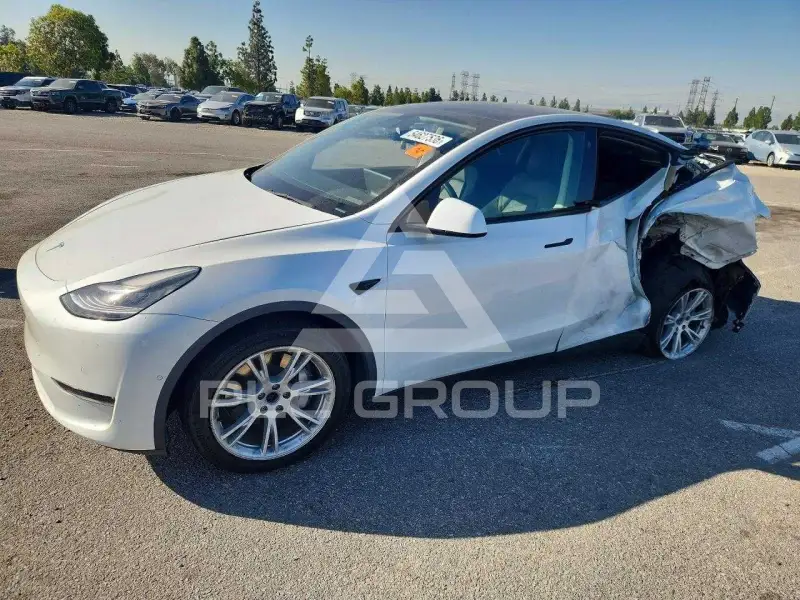 2021 Tesla Model Y фото