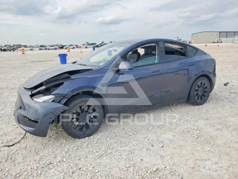 2021 Tesla Model Y photo