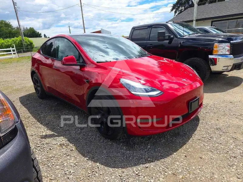 2021 Tesla Model Y фото