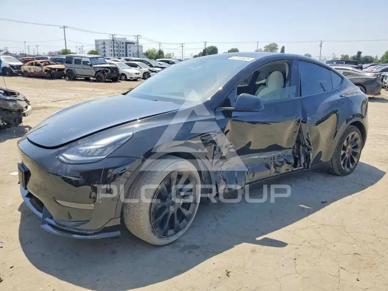 2021 Tesla Model Y photo